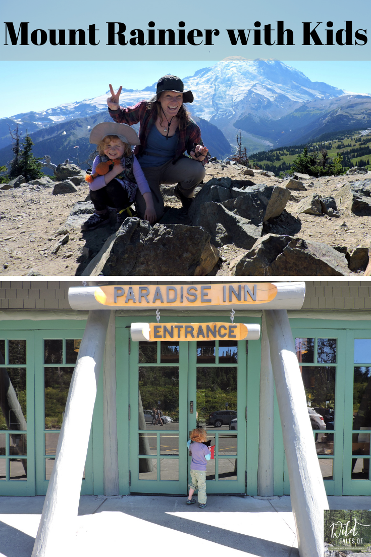 National Park Inn  Mt. Rainier National Park Lodging