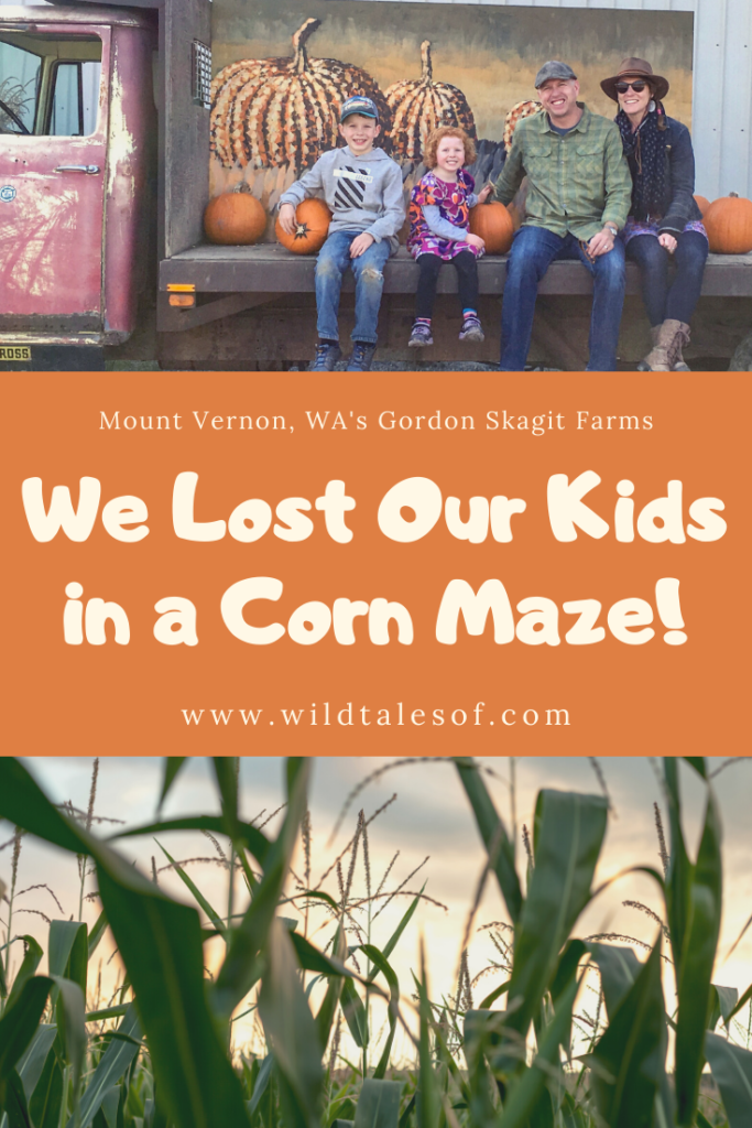 We Lost Our Kids in a Corn Maze! Fall Farm Fun at Skagit Valley's Gordon Skagit Farms | WildTalesof.com