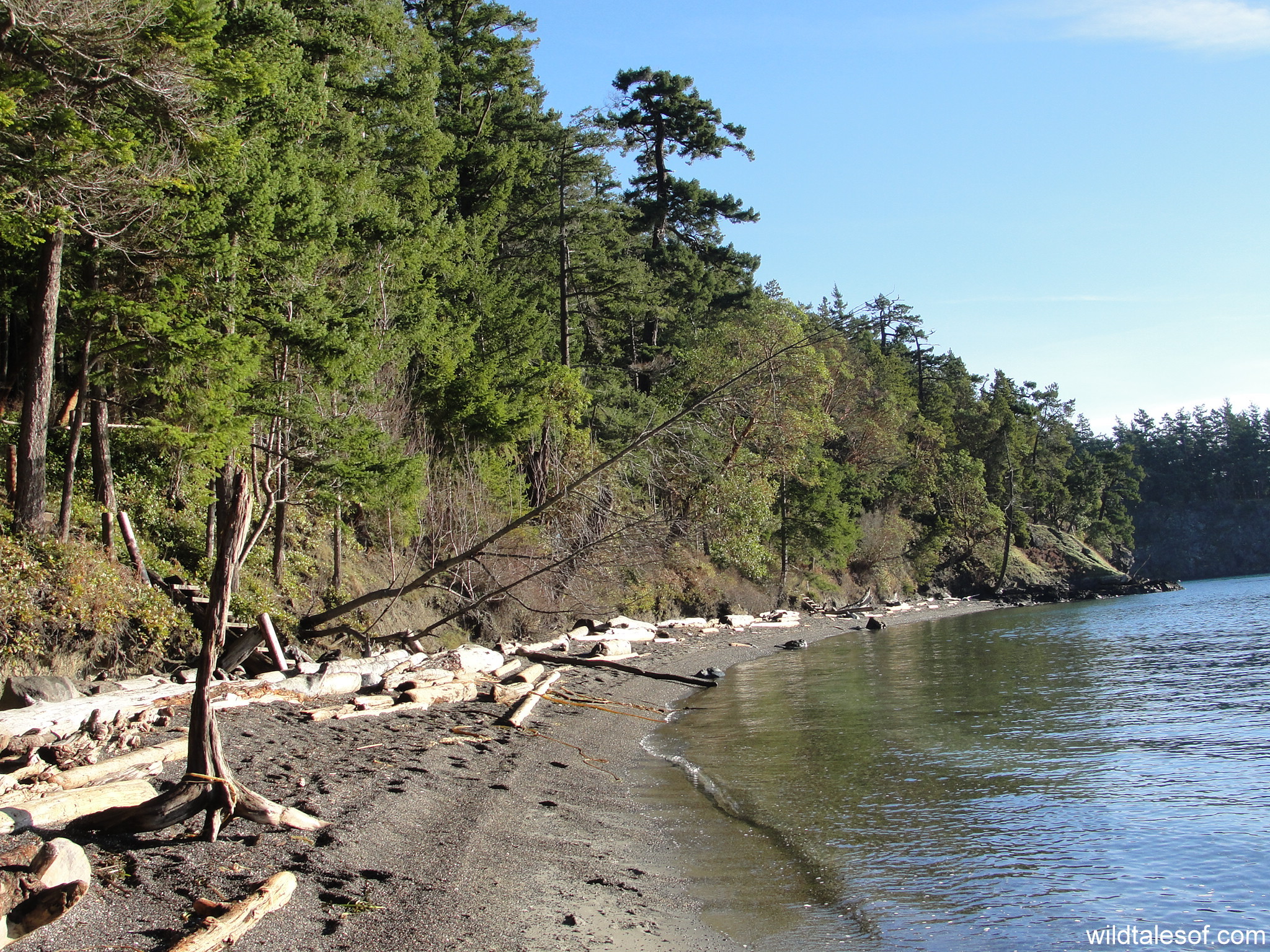 Obstruction Pass State Park: Our Bright and Sunny Gem on Orcas Island ...