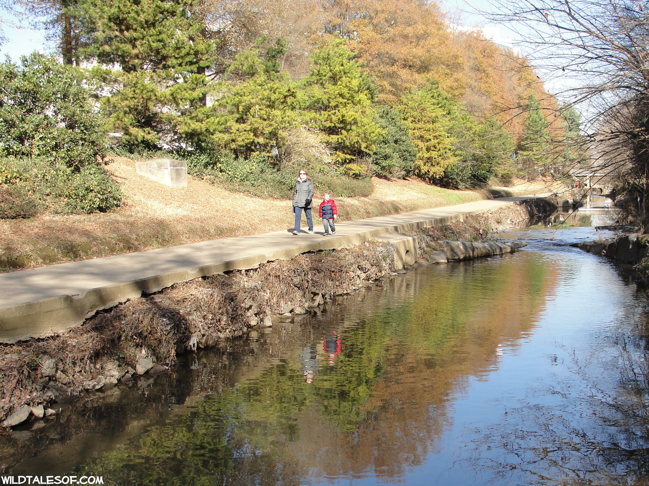 Urban Hike In Charlotte Nc Little Sugar Creek Greenway