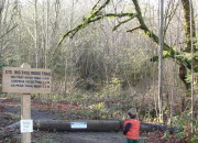 Built-in Adventures: Cougar Mountain's Big Tree Ridge Trail