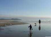 Long Beach, Washington: Peaceful, Simple Seashore Walk | WildTalesof.com