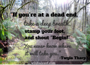If you're at a dead end, take a deep breath, stamp your foot, and shout "Begin!" You never know where it will take you. | WildTalesof.com