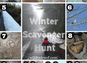 Winter Scavenger Hunt (with Printable) for Kids |WildTalesof.com