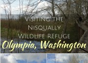 Visiting the Nisqually Wildlife Refuge: Olympia, Washington | WildTalesof.com