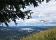 Hiking with Kids: Seattle Area Hikes with a View | WildTalesof.com