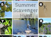 Summer Scavenger Hunt (with Printable) for Kids | WildTalesof.com