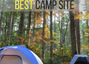 Travel Planning: 6 Tips for Making Camping Reservations | WildTalesof.com