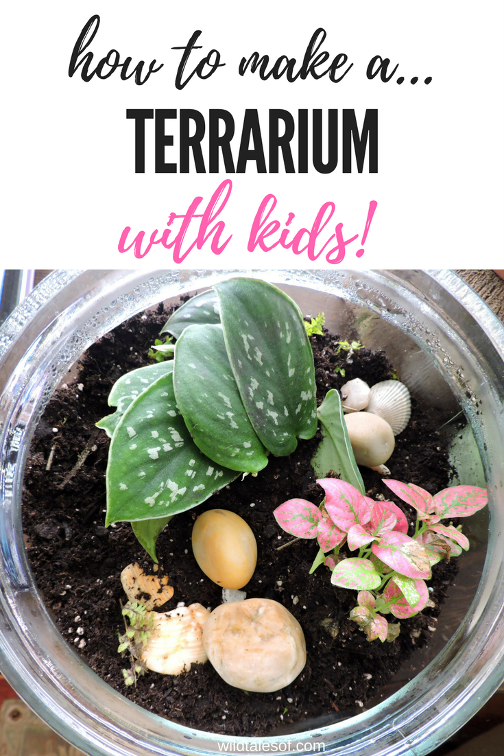 How to Create a Terrarium