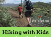 Hiking with Kids: Cave Creek Regional Park near Phoenix, AZ | WildTalesof.com