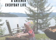 Sustainability for Families: Easy Steps for a Greener Everyday Life | WildTalesof.com