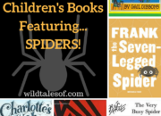 Fun Fall Reading: Children's Books Featuring Spiders | WildTalesof.com