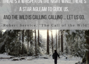 And the Wild is calling, calling ... let us go. | WildTalesof.com