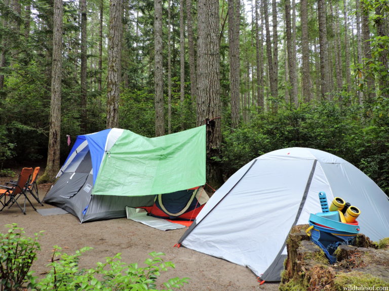 Camping with Kids at Washington's Scenic Beach State Park - wildtalesof.com